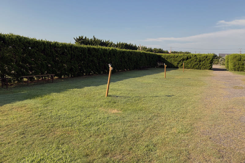 サイトは芝生張り。地面が柔らかいためペグの抜き差しに苦労することもない。また、サイトによってはベンチが設置されていた