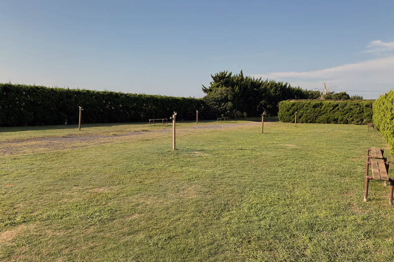 サイトは芝生張り。地面が柔らかいためペグの抜き差しに苦労することもない。また、サイトによってはベンチが設置されていた