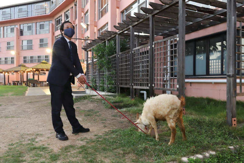 施設を見学中にヤギに雑草を食べさせている株式会社下電ホテル 代表取締役社長の永山久徳氏に遭遇。ヤギは優秀な草刈り要員だそう