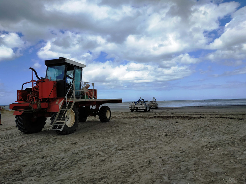 干潮がピークに達するころに作業チームがどんどん海に出ていきました