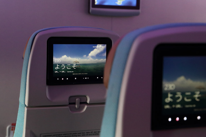 新しくなったエコノミークラスのモニターは10インチ