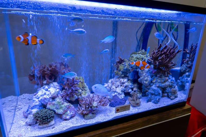 ブース内では、JTAの機内販売でしか手に入らないオリジナルグッズの販売も行なっている