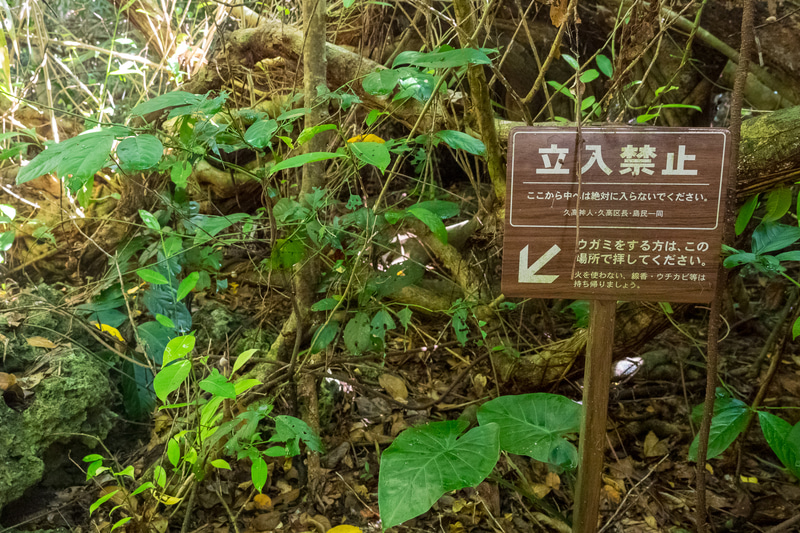 神事が行なわれた「御嶽」の一つ「フボー御嶽」。聖なるエリアのため、数m入ったところで立ち入り禁止となる