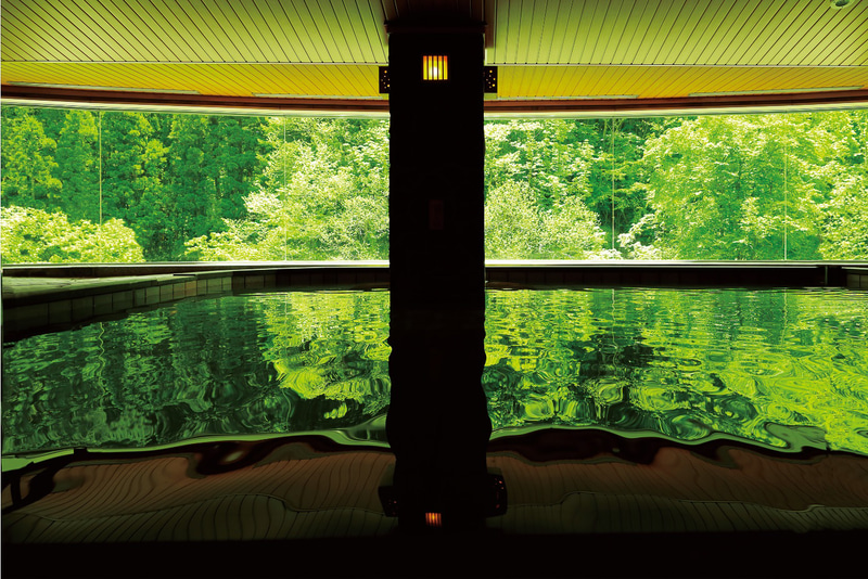 「湯けむりの宿 稲住温泉」（秋田県・秋の宮温泉郷、1泊2日6万2190円）