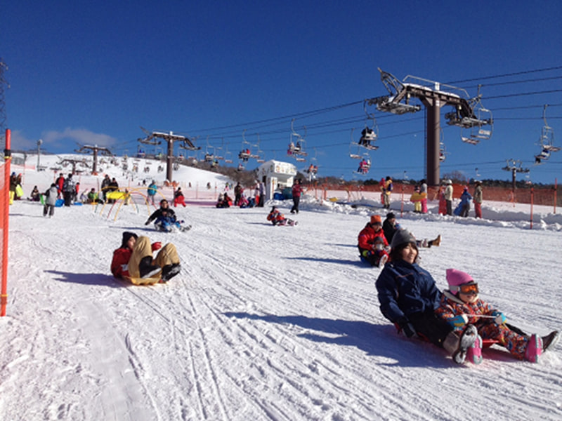 ひるがの高原スキー場