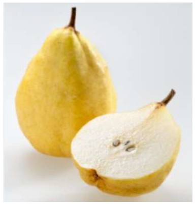 新潟県産西洋なし「ル レクチエ」