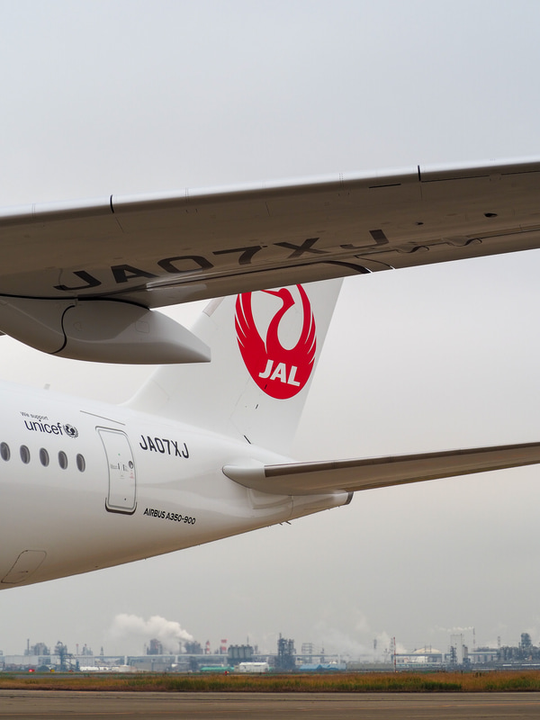 登録記号は「JA07XJ」（写真提供：日本航空）