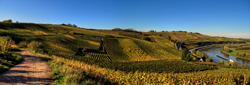 &copy;LFT_PaulHilbert