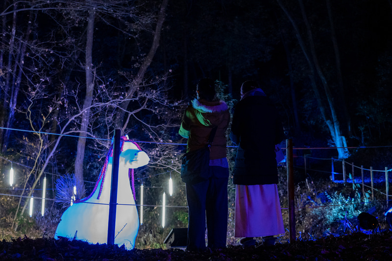 なにやら大きな白い物体が出現