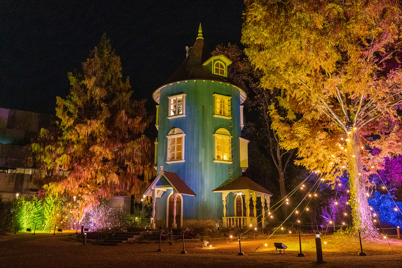 ライトアップの美しさにうっとり