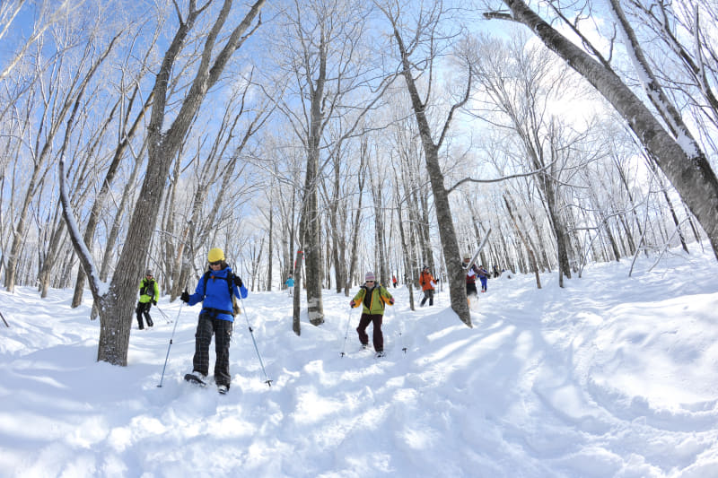 スノーシューエリア