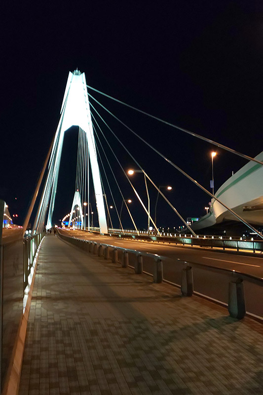 2020年元日未明の大師橋