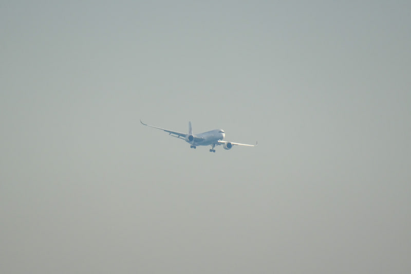 11時間半かけて日本にやってきた8号機（写真提供：日本航空）