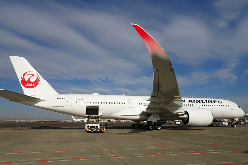 登録記号は「JA08XJ」（写真提供：日本航空）