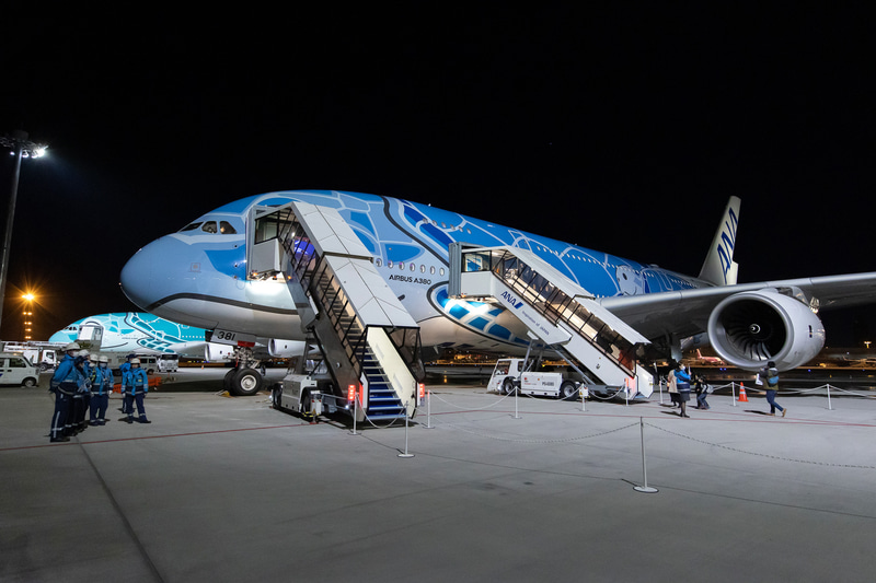 成田空港発着便（写真提供：ANA）