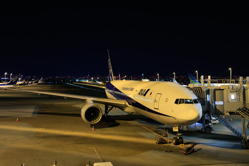 羽田空港発着（写真提供：ANA）