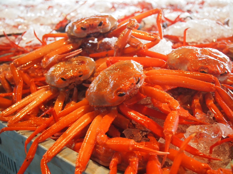 境港じゃんことカニ感謝祭をオンラインで実施