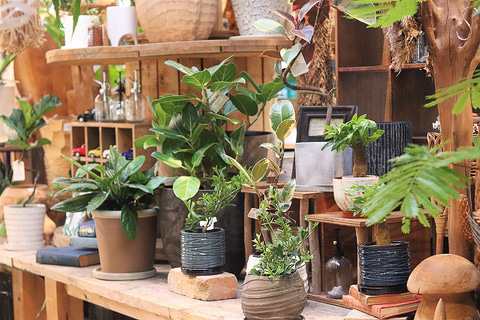 京阪本線 樟葉駅のkuzuha Mall くずはモール 25店舗の新規出店 リニューアル トラベル Watch