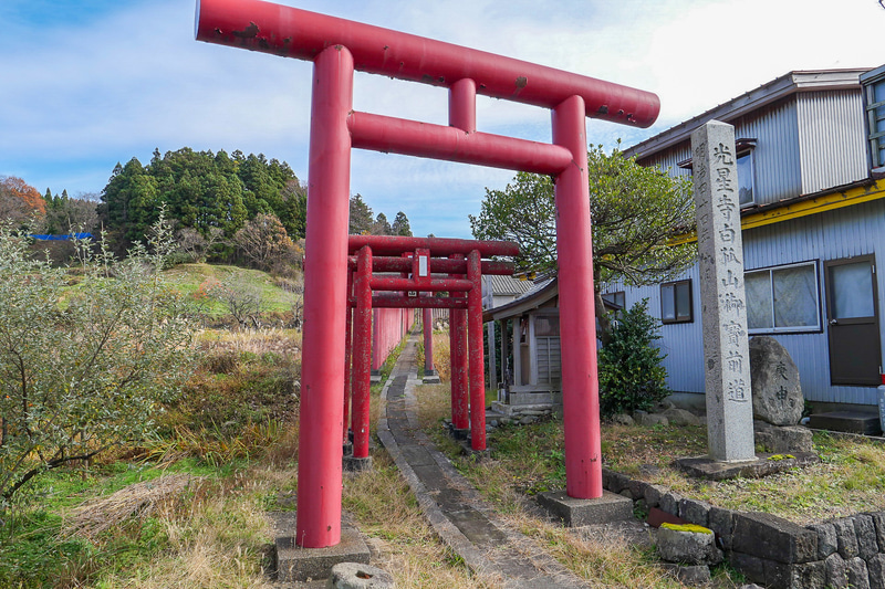 光星寺は、参道に連なる鳥居が見どころ