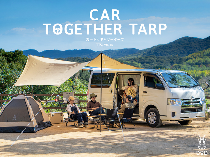 カートゥギャザータープ（タン）