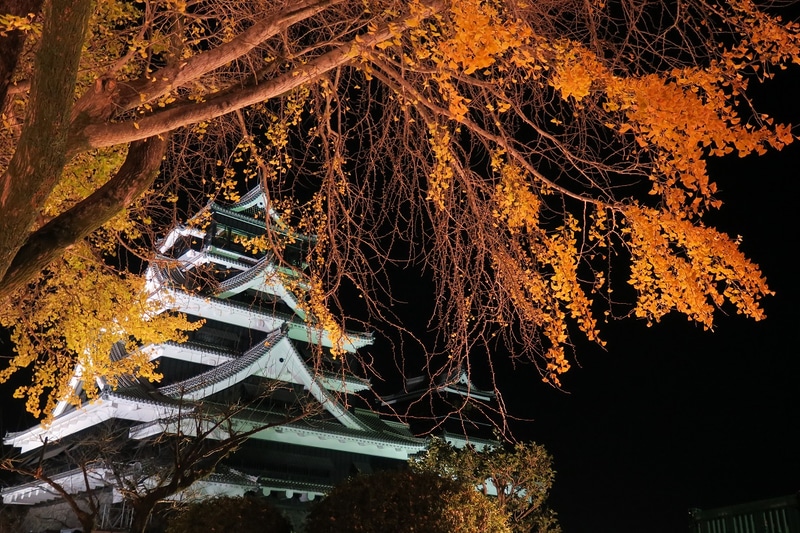 「熊本城復興応援プラン～がんばろう熊本～」