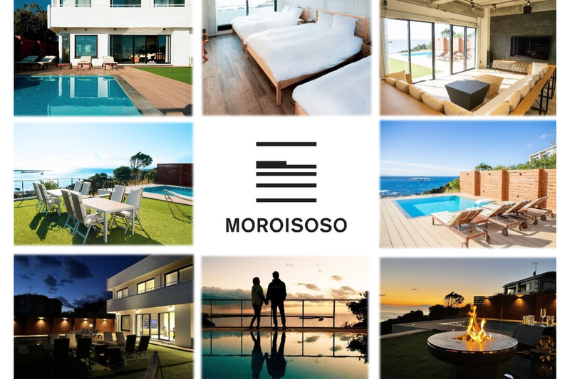 ブッシュクロフィード「MOROISOSO（モロイソソウ）」