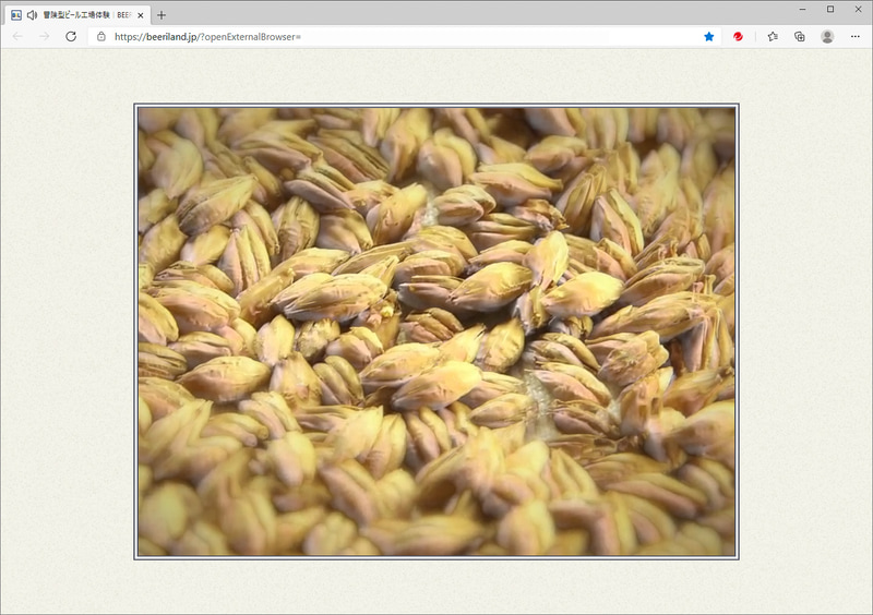 ところどころに実写ムービーが挿入されており、ザ・プレミアム・モルツの素材や製法の知識を学べる