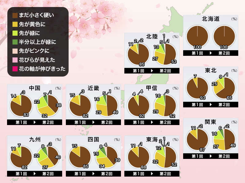 全国の桜の生長状況