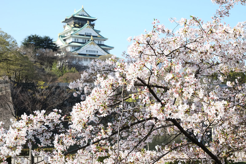 大阪城公園