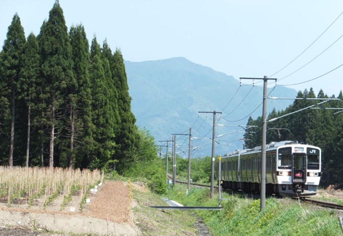 未利用成分「ヘミセルロース」を原料としたバイオプラスチック「HEMIX」を使用