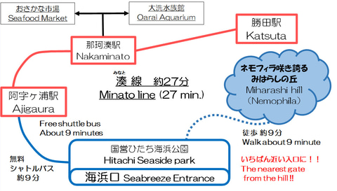 ひたちなか海浜鉄道 無料バス ネモフィラシャトル 運行 国営ひたち海浜公園のネモフィラ開花時期に トラベル Watch
