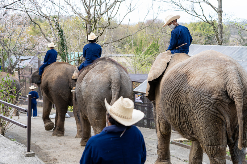 坂道をゆっくりと下っていく