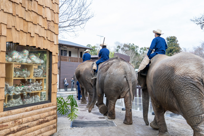 ショップの横を通って広場へ向かう
