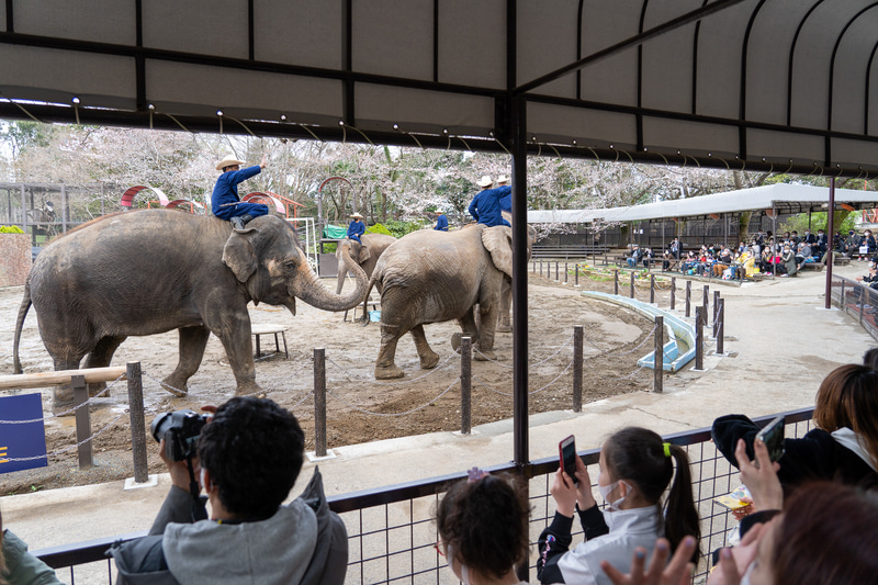 大勢のお客さんがお待ちかねだ