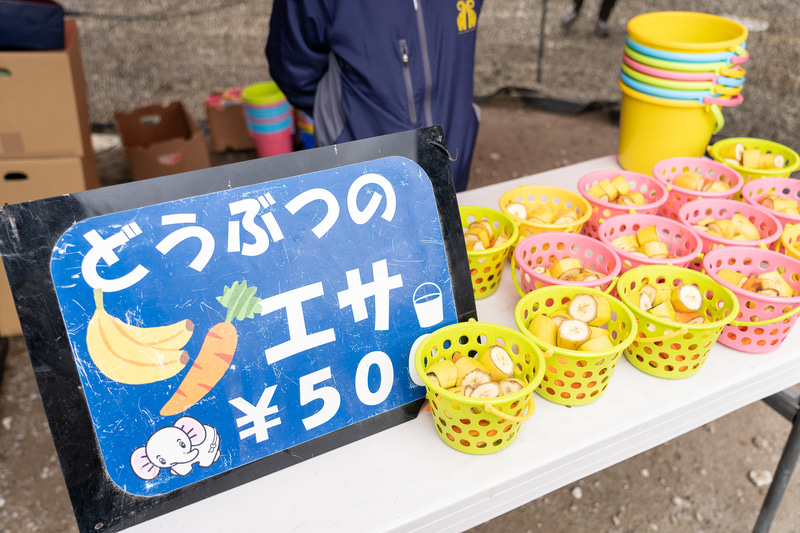 エサは500円で売っている