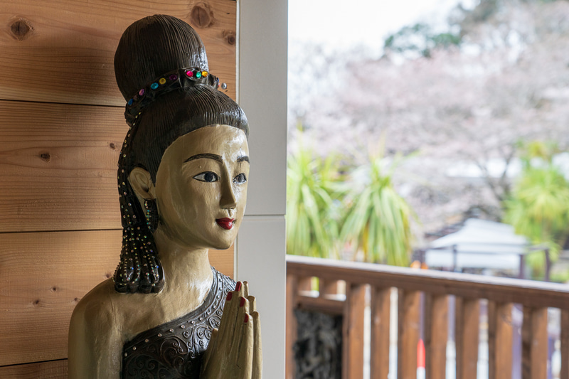 2階の屋外席はドムドムハンバーガーのテイクアウトフードの飲食が可能。ゾウの水浴びを見ながら飲食ができる貴重な場所