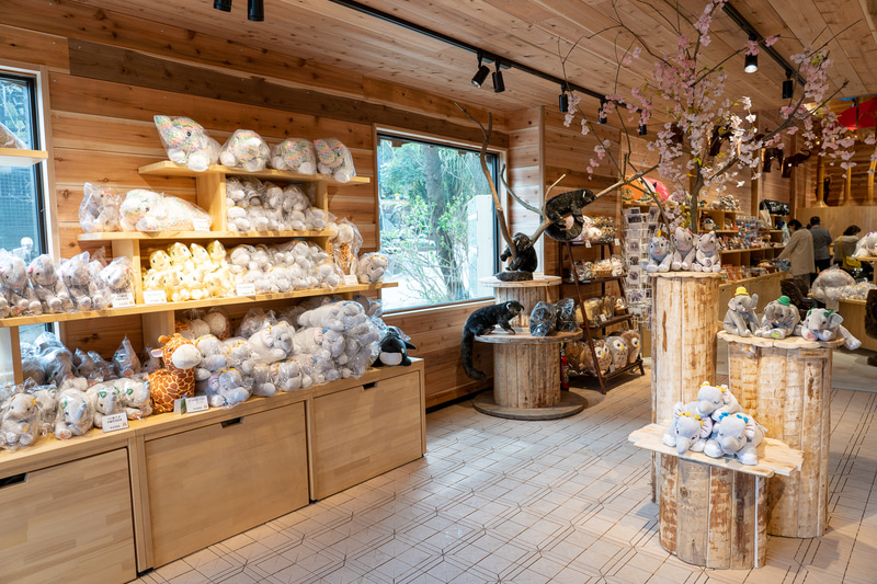 ウッディで明るい店内