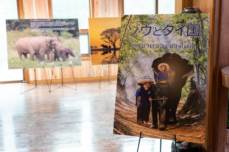 「エレファントギャラリー＆タイミュージアム」では、タイとゾウの関わりやタイの魅力などをパネルで紹介している