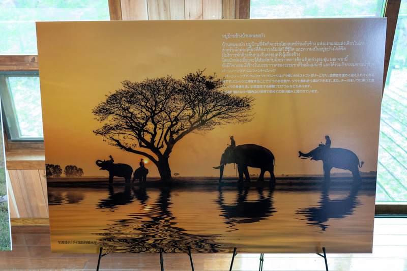 美しいパネルは必見だ