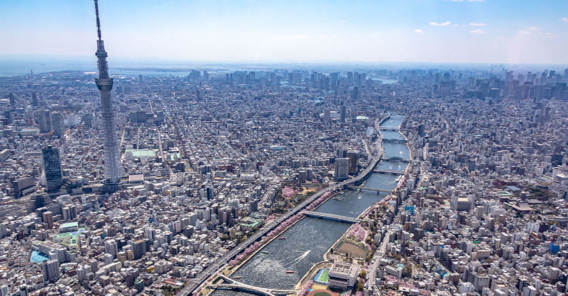 地上600mをフライト