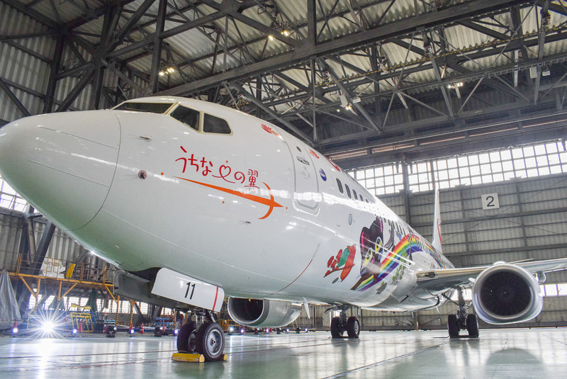 世界遺産登録に向けてJTAのラッピング機が就航した