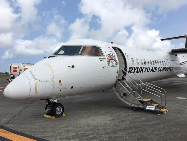 RACの特別デザイン機（写真提供：JTA）