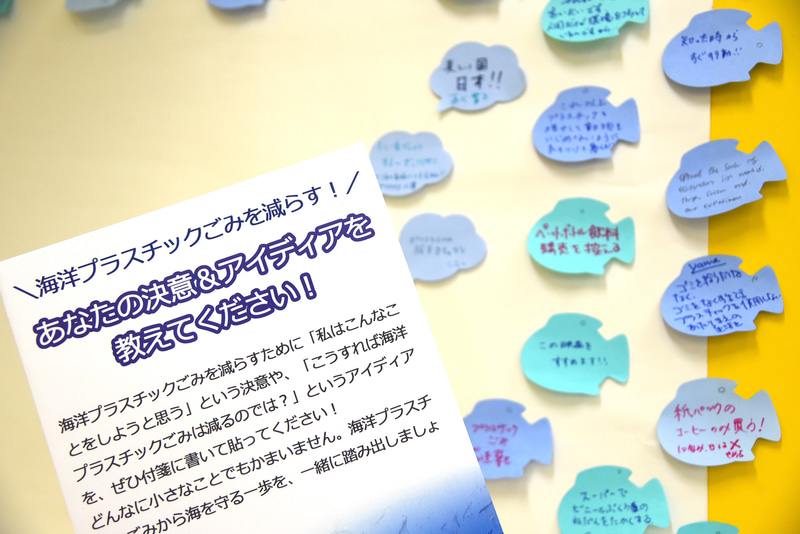 海を守るためのアイデアを募集