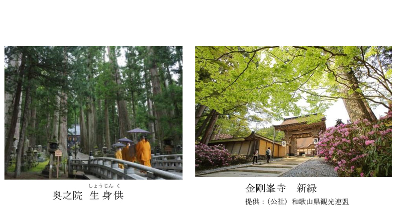 京阪バスと南海りんかんバス京都～高野山の直通バス「京都高野山線」を4月23日～11月28日に毎日運行する