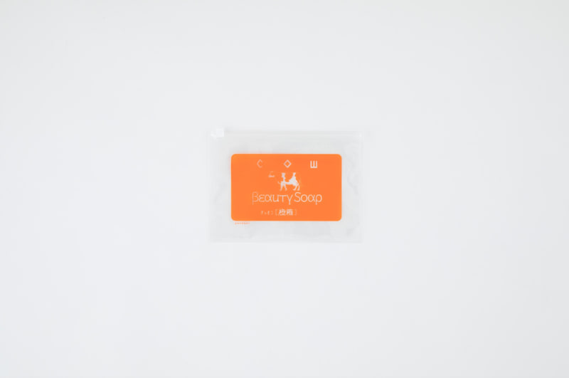 ジップケース（1100円）