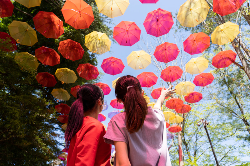 アンブレラスカイ「ムーミン谷とアンブレラ」