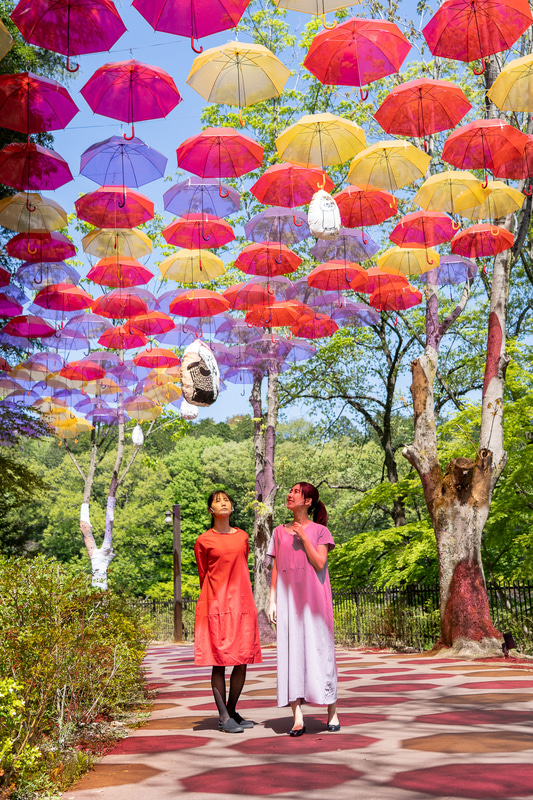 好天だったこの日は地面に映る影もくっきり