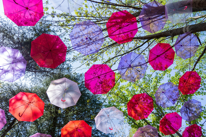上も下もビタミンカラーで元気になれます
