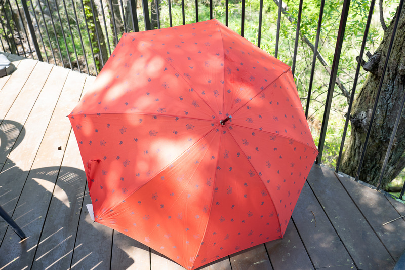 ポンチョや傘などのレイングッズもいろいろ。こちらはリトルミイの長傘（2200円）