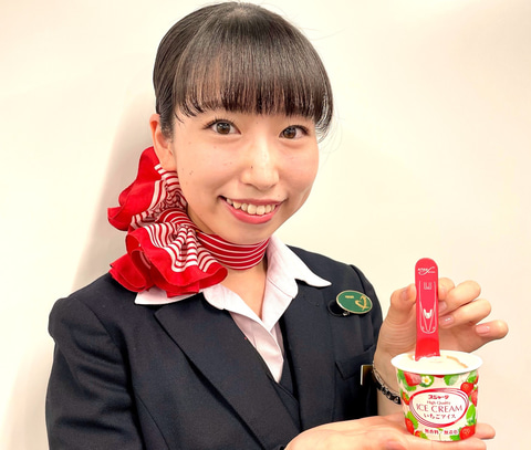東海道新幹線「シンカンセンスゴイカタイアイス」専用スプーン